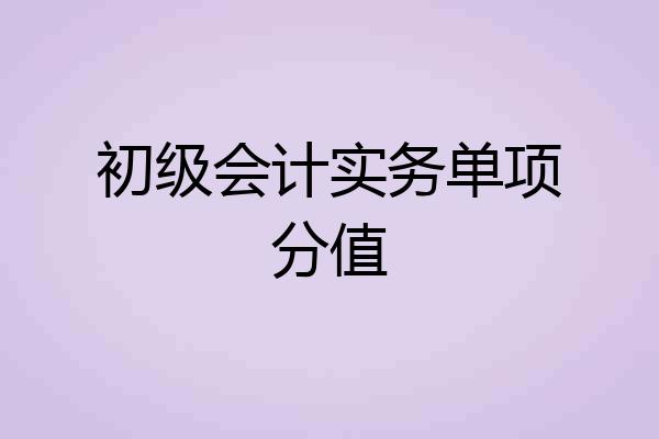 初级会计实务单项分值
