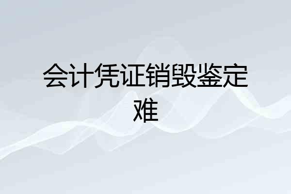 会计凭证销毁鉴定难