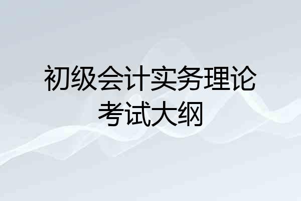初级会计实务理论考试大纲