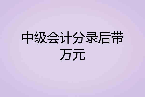 中级会计分录后带万元