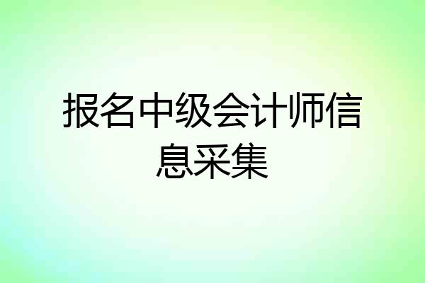 报名中级会计师信息采集