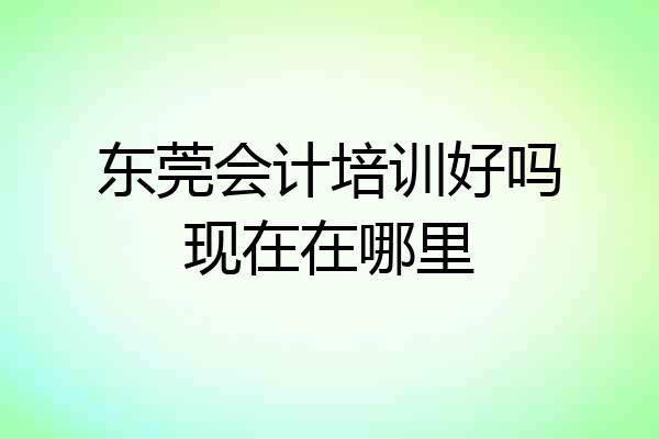 东莞会计培训好吗现在在哪里