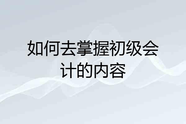 如何去掌握初级会计的内容