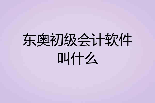 东奥初级会计软件叫什么