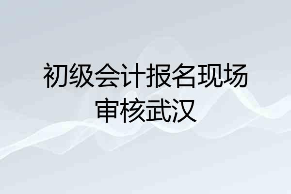 初级会计报名现场审核武汉