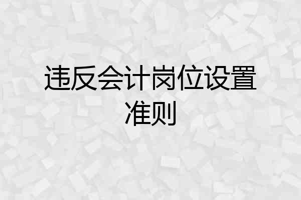 违反会计岗位设置准则