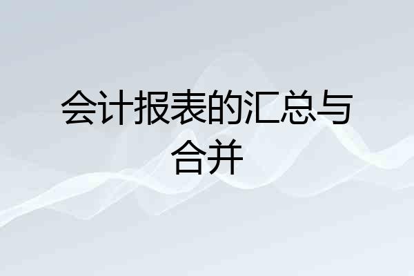 会计报表的汇总与合并
