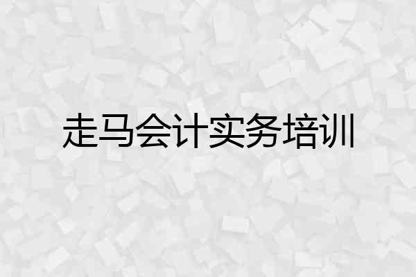 走马会计实务培训