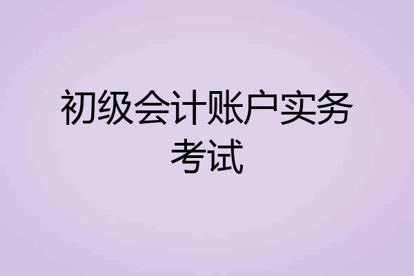 初级会计账户实务考试