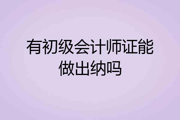 有初级会计师证能做出纳吗