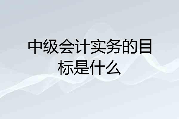 中级会计实务的目标是什么