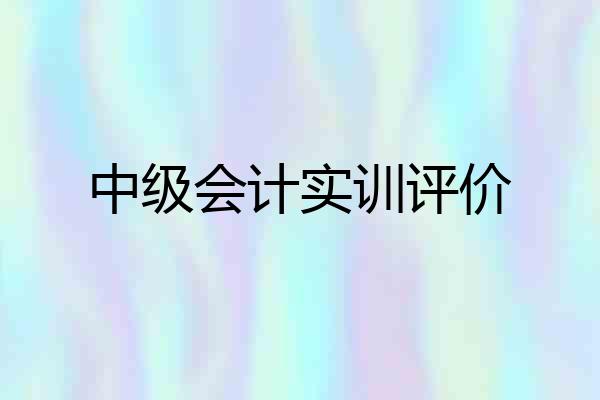 中级会计实训评价
