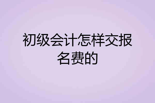 初级会计怎样交报名费的
