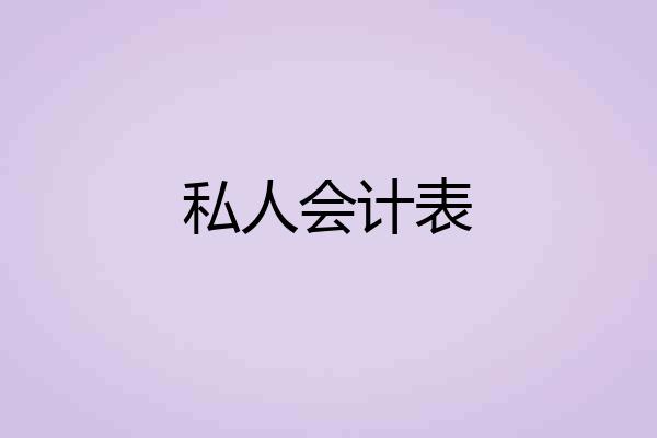 私人会计表