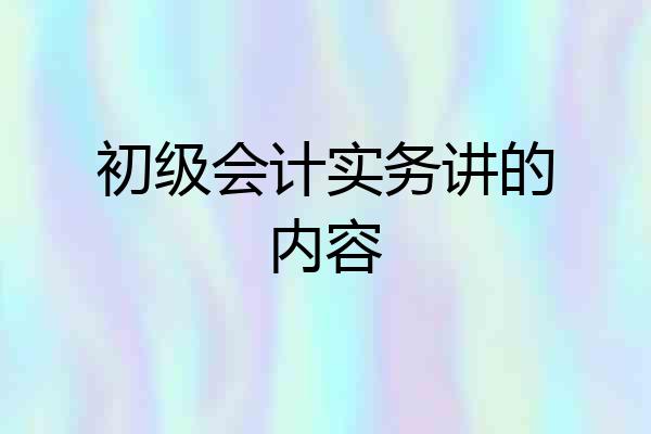 初级会计实务讲的内容
