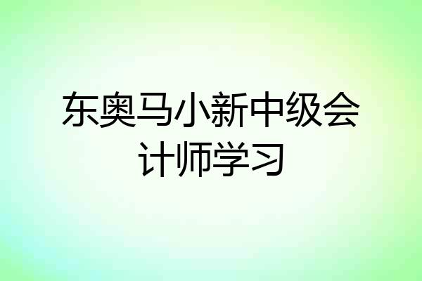 东奥马小新中级会计师学习