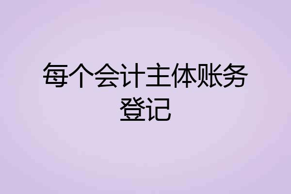 每个会计主体账务登记