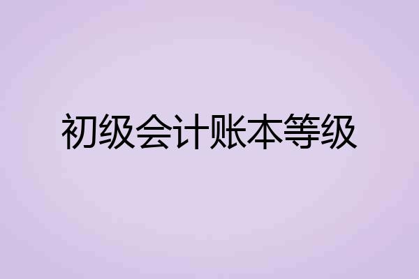 初级会计账本等级