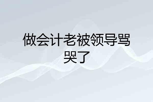 做会计老被领导骂哭了