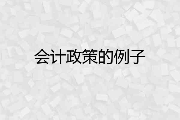 会计政策的例子