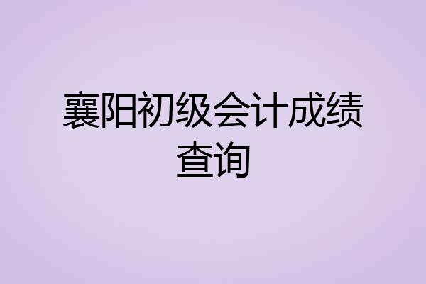 襄阳初级会计成绩查询