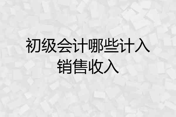 初级会计哪些计入销售收入