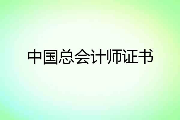 中国总会计师证书