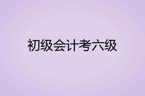 初级会计考六级