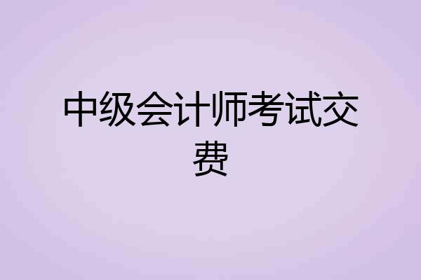 中级会计师考试交费
