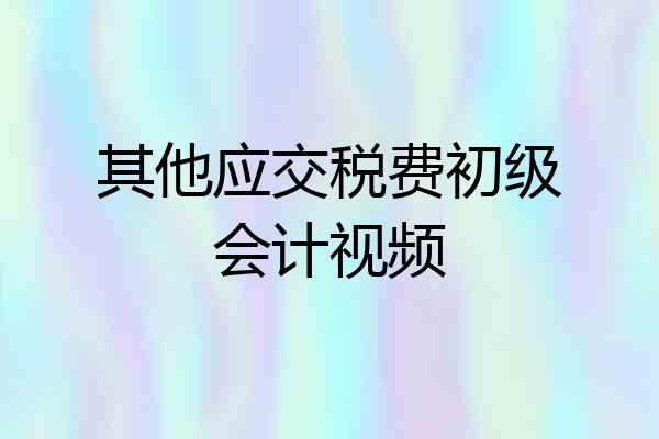 其他应交税费初级会计视频