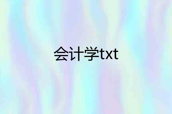 会计学txt
