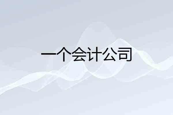 一个会计公司