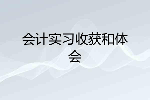 会计实习收获和体会