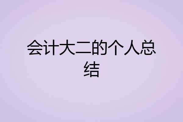 会计大二的个人总结