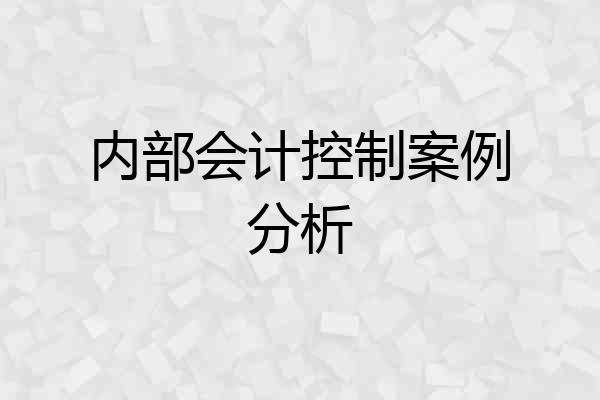 内部会计控制案例分析