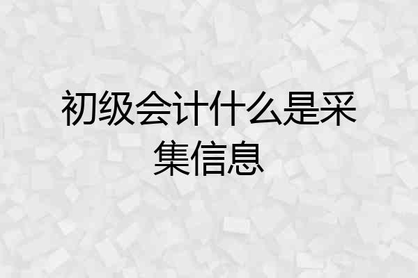 初级会计什么是采集信息