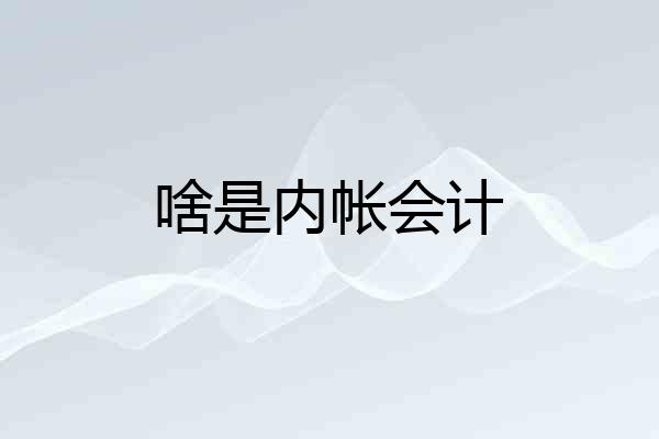 啥是内帐会计