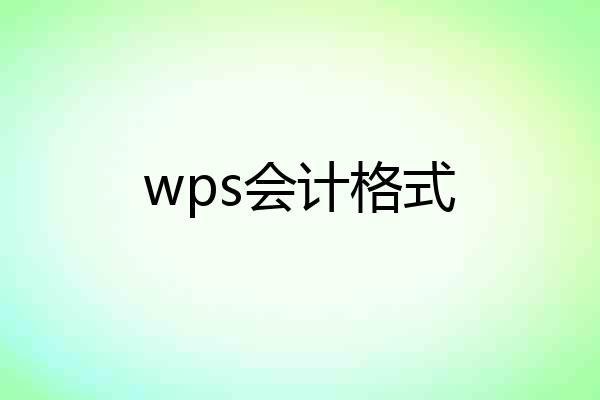 wps会计格式