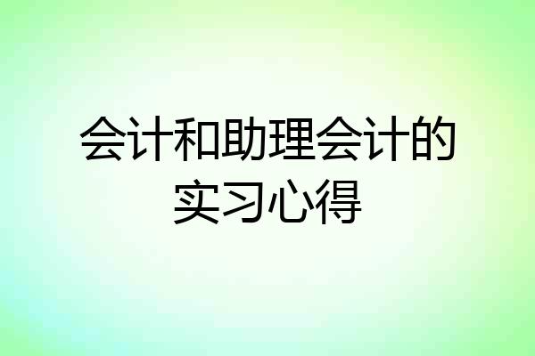 会计和助理会计的实习心得