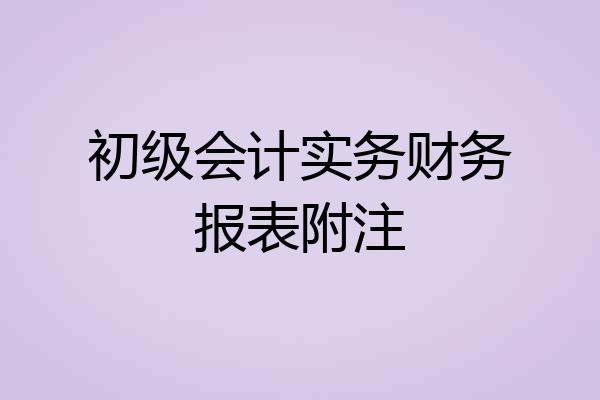 初级会计实务财务报表附注