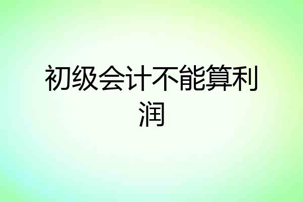初级会计不能算利润