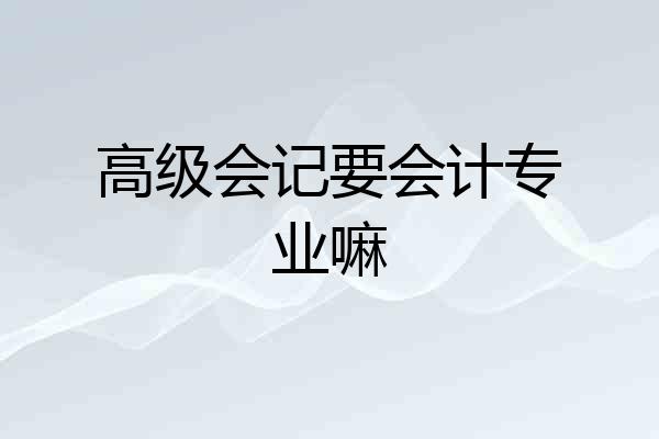 高级会记要会计专业嘛