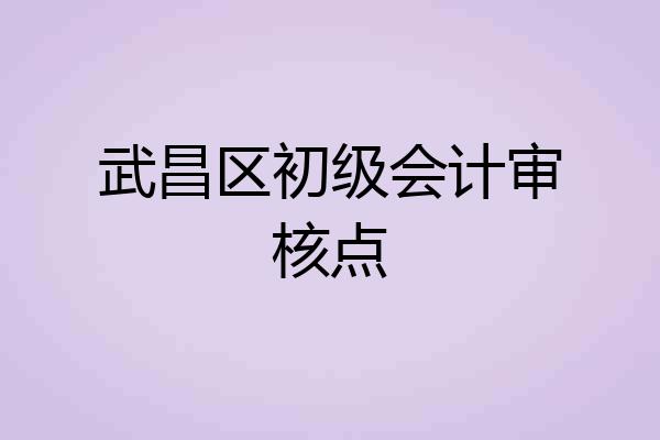 武昌区初级会计审核点