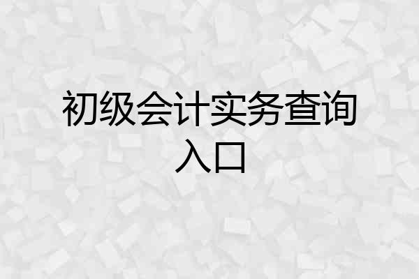 初级会计实务查询入口