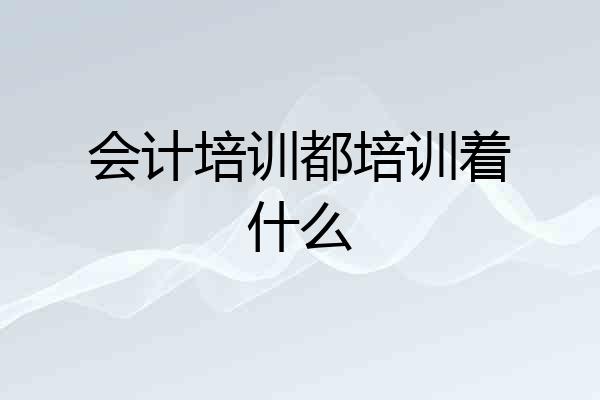 会计培训都培训着什么