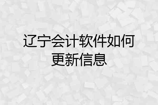 辽宁会计软件如何更新信息