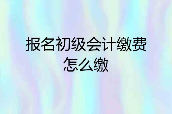 报名初级会计缴费怎么缴