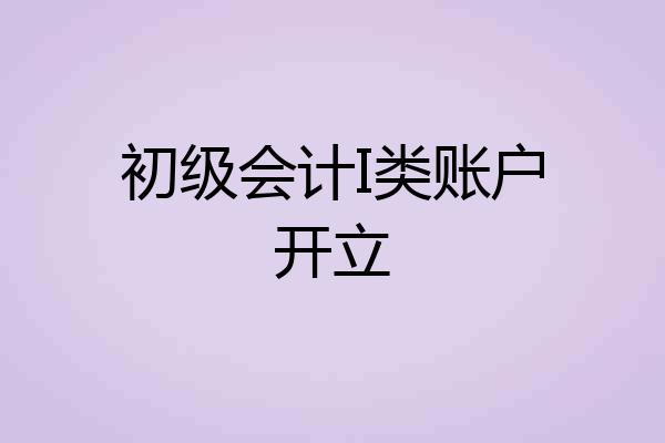 初级会计I类账户开立