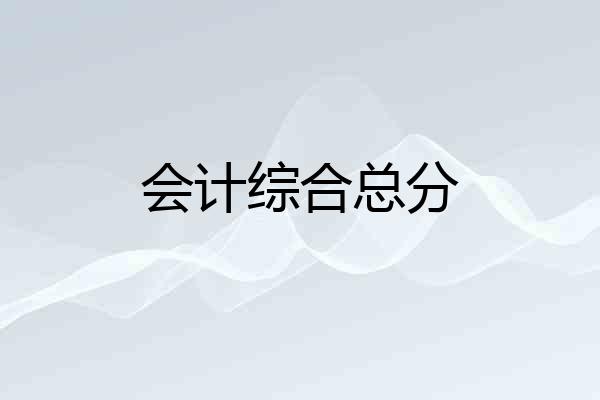 会计综合总分