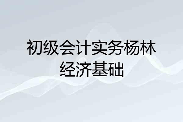 初级会计实务杨林经济基础